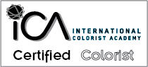 Wichita Color Co. Logo